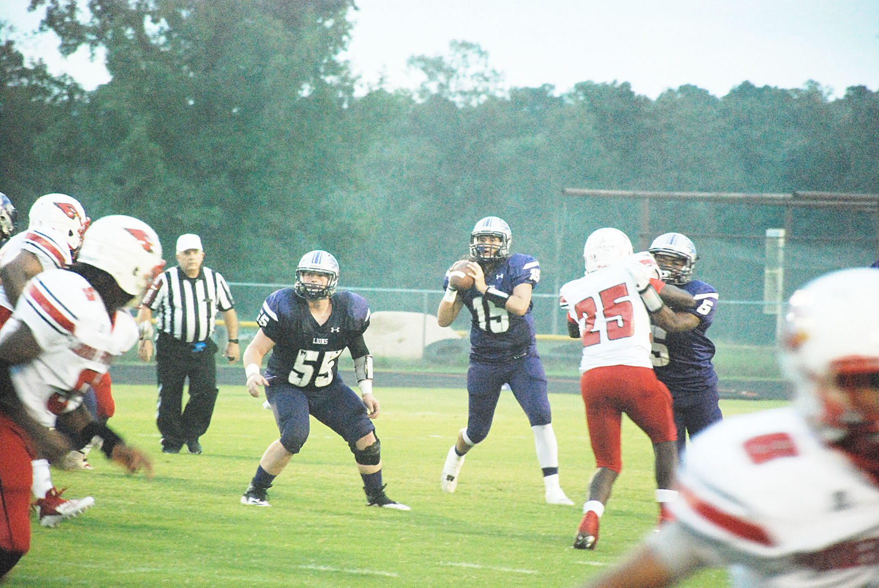 Cardinals fly over Lions in overtime win